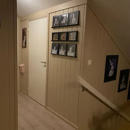 Hus I Landlige Omgivelser Naer Granasen Skianlegg Trondheim